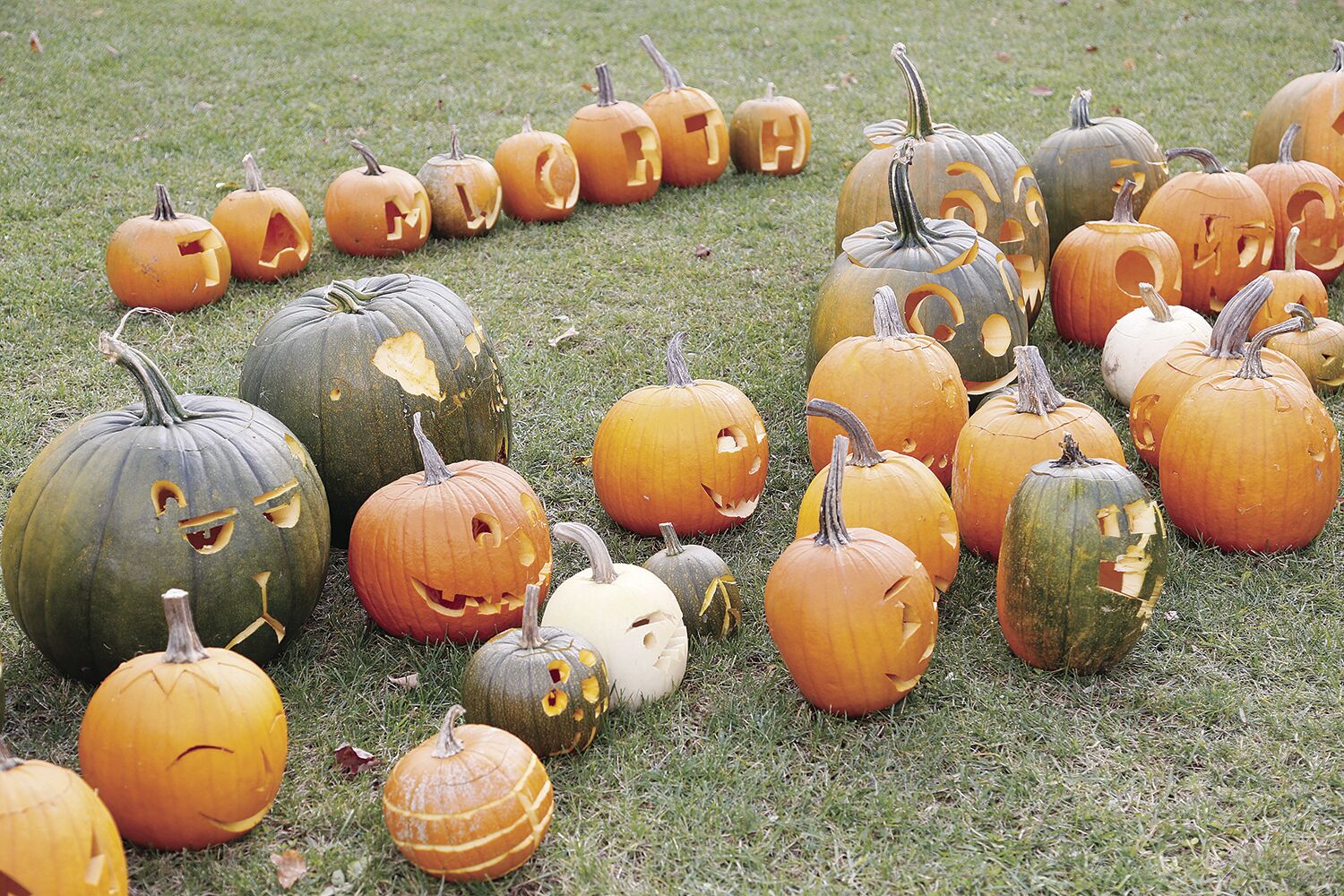 10-31-21 Halloween pumpkins